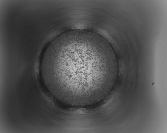 X0000089700683200706281455