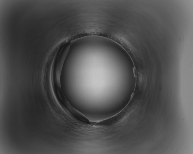 X0000089700684200706281455