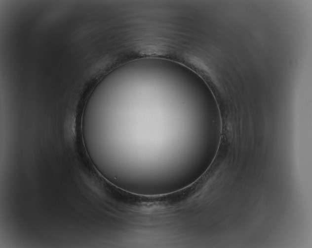 X0000089700686200706281455