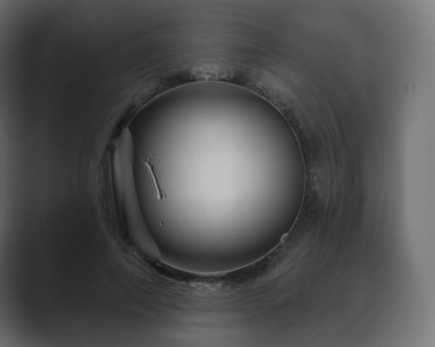 X0000089700690200706281455