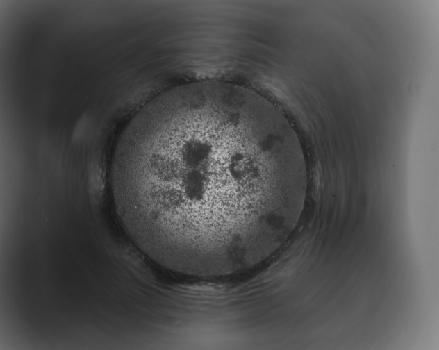 X0000089700691200706281455