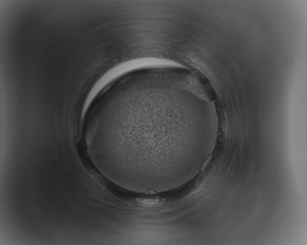 X0000089700693200706281455