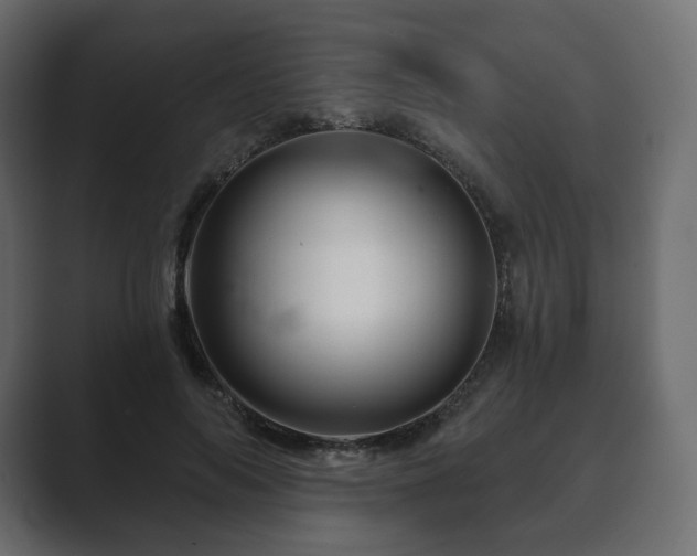 X0000089700694200706281455