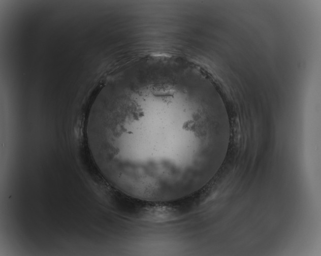 X0000089700695200706281455