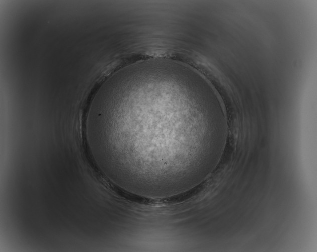 X0000089700696200706281455