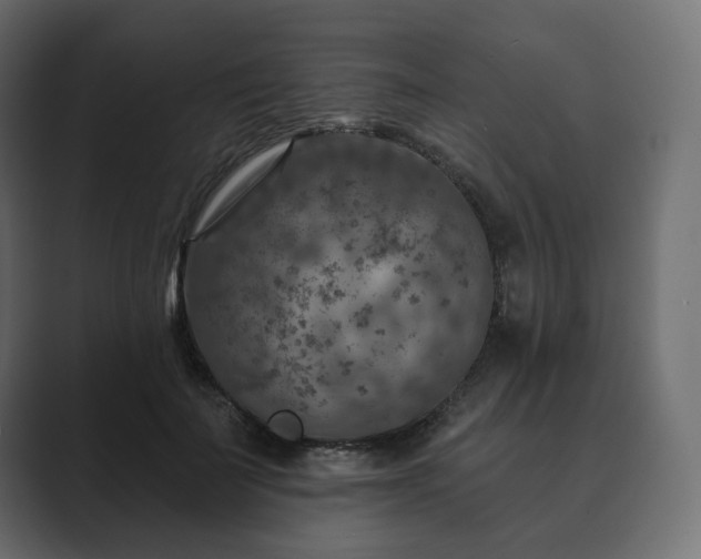 X0000089700699200706281455