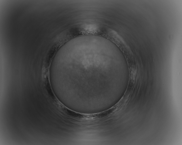 X0000089700701200706281455