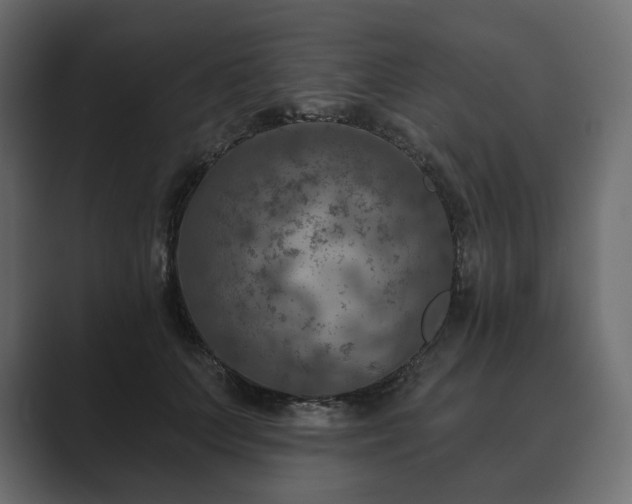 X0000089700703200706281455