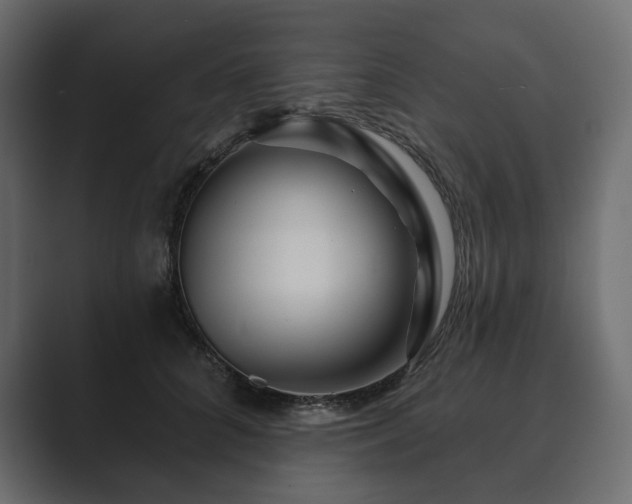 X0000089700704200706281455