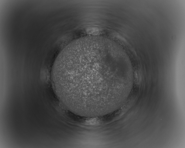 X0000089700705200706281455