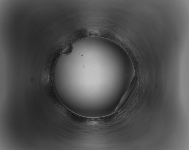 X0000089700706200706281455