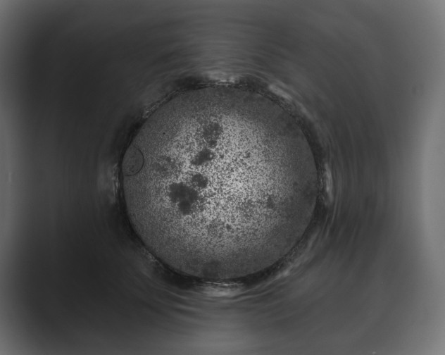 X0000089700707200706281455