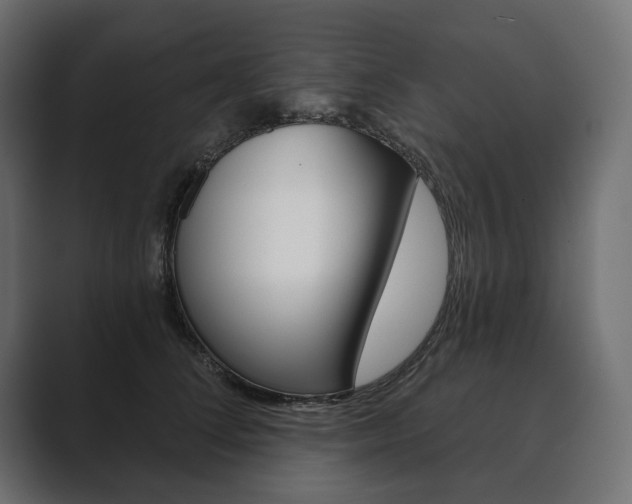 X0000089700708200706281455