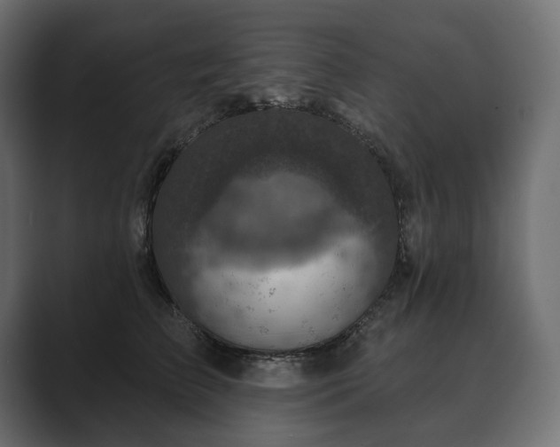 X0000089700709200706281454