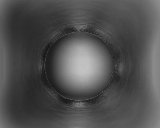 X0000089700710200706281454