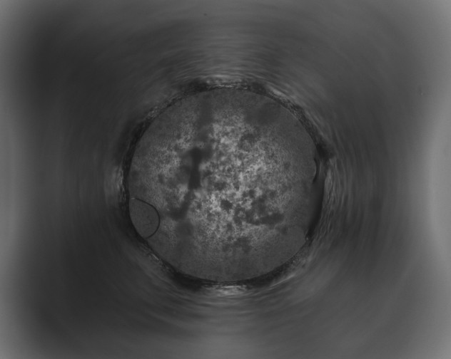 X0000089700711200706281454