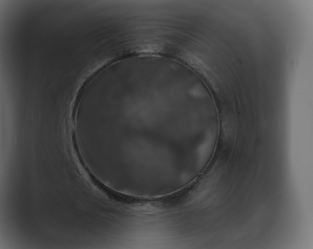 X0000089700721200706281454