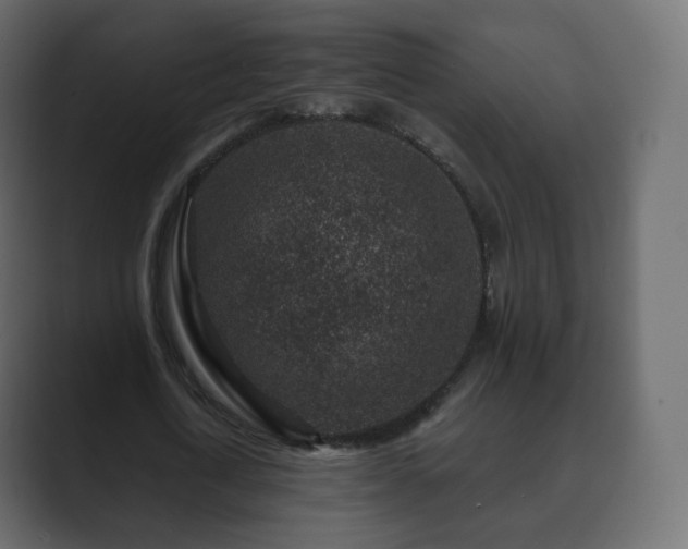 X0000089700722200706281454