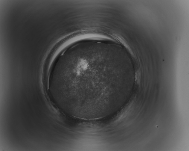 X0000089700724200706281454