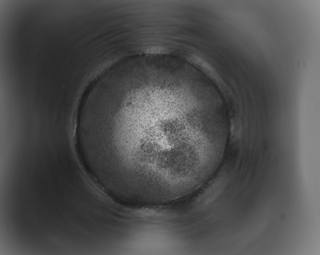 X0000089700725200706281454