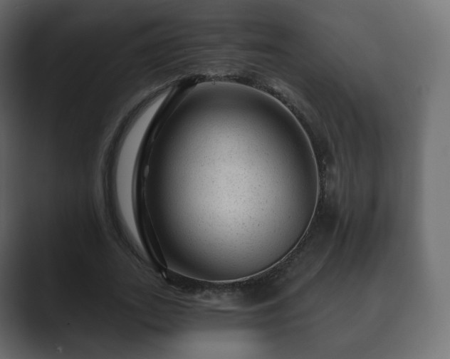 X0000089700727200706281454