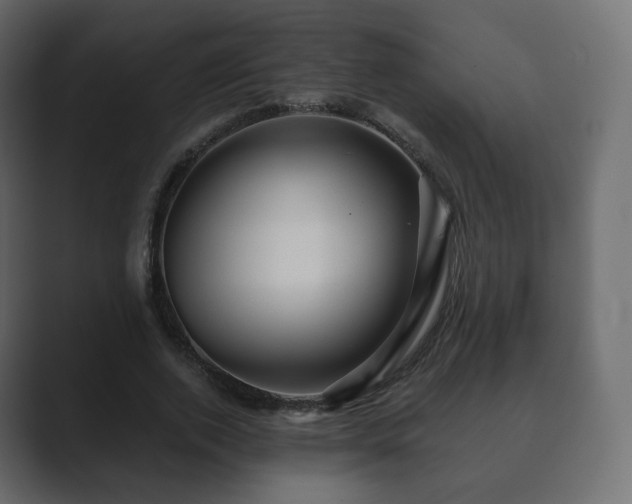 X0000089700728200706281454