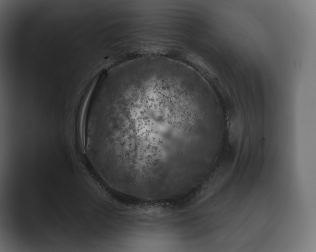 X0000089700729200706281454