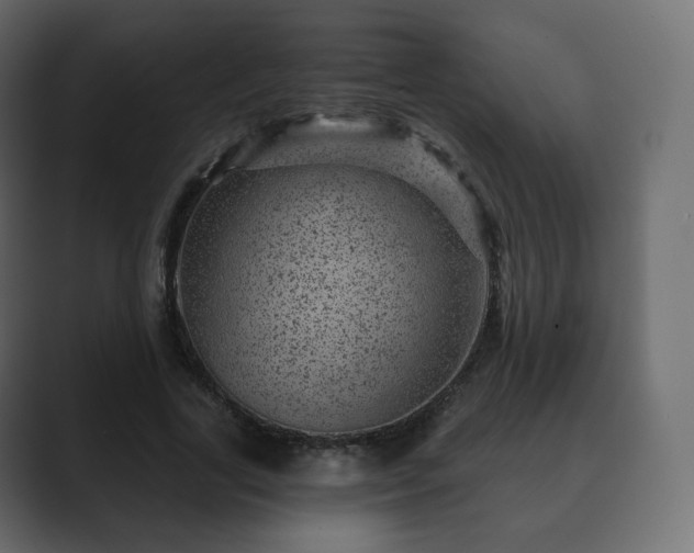 X0000089700731200706281454