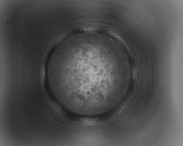 X0000089700733200706281454