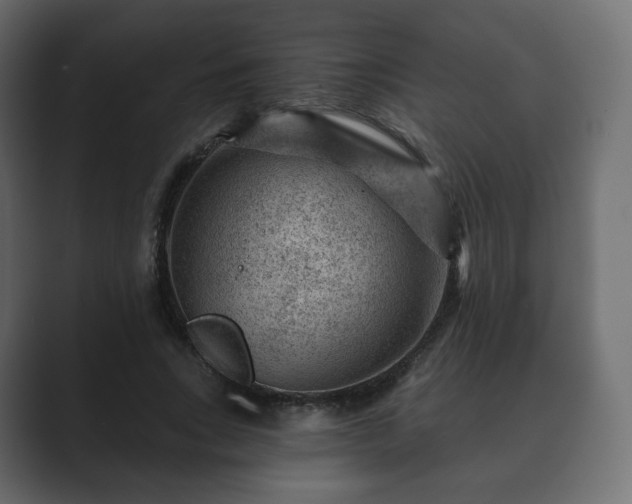 X0000089700735200706281454