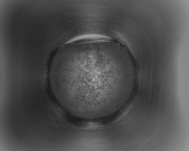 X0000089700737200706281454