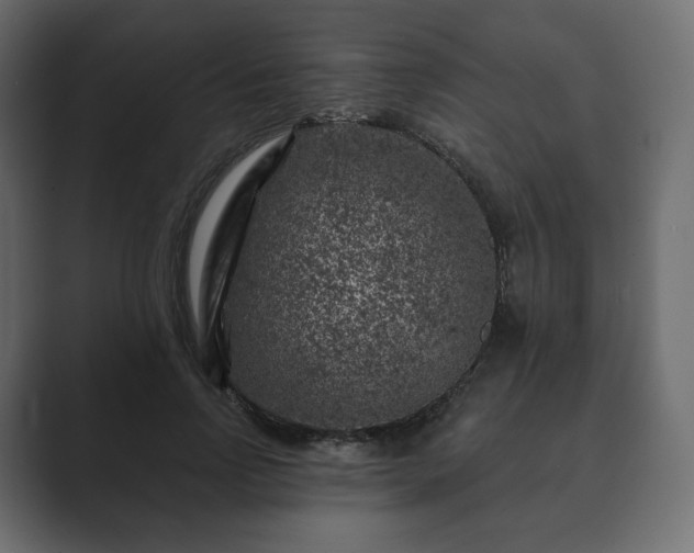 X0000089700742200706281454