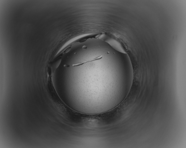 X0000089700743200706281454