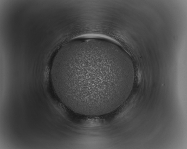 X0000089700744200706281454