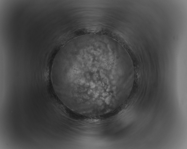 X0000089700745200706281454