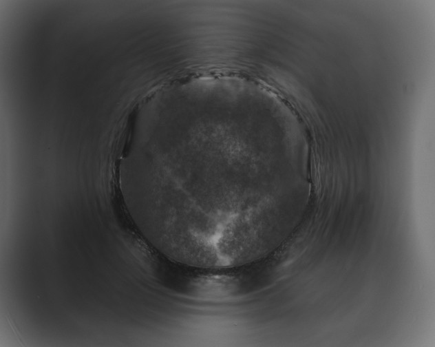 X0000089700748200706281454