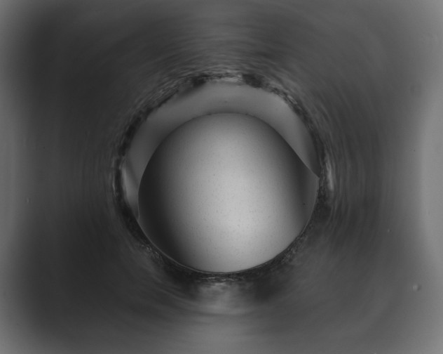 X0000089700750200706281454