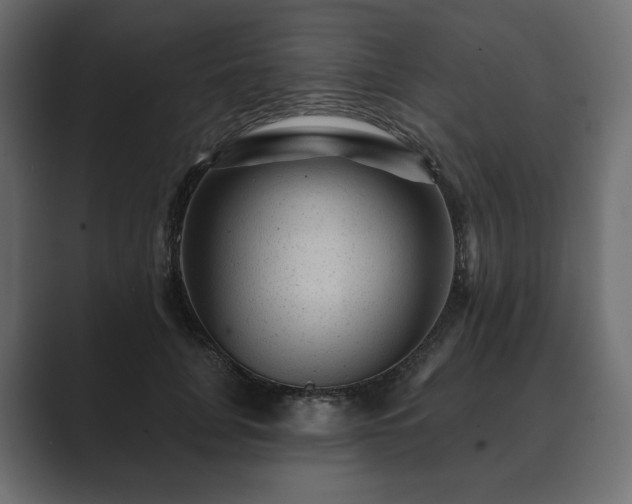 X0000089700751200706281454