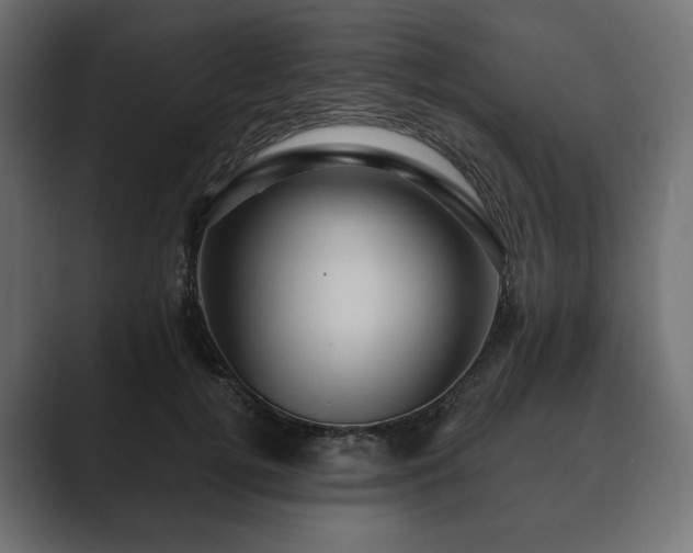 X0000089700752200706281454