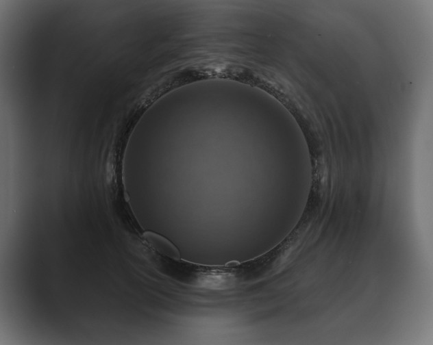 X0000089700754200706281454