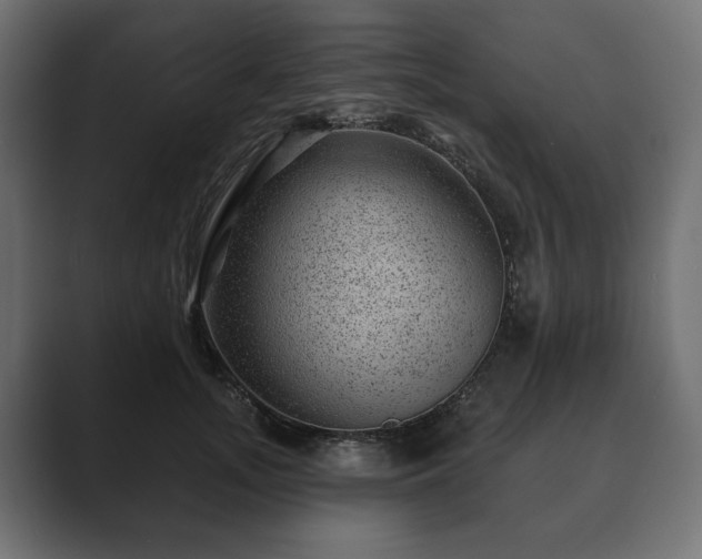 X0000089700755200706281454