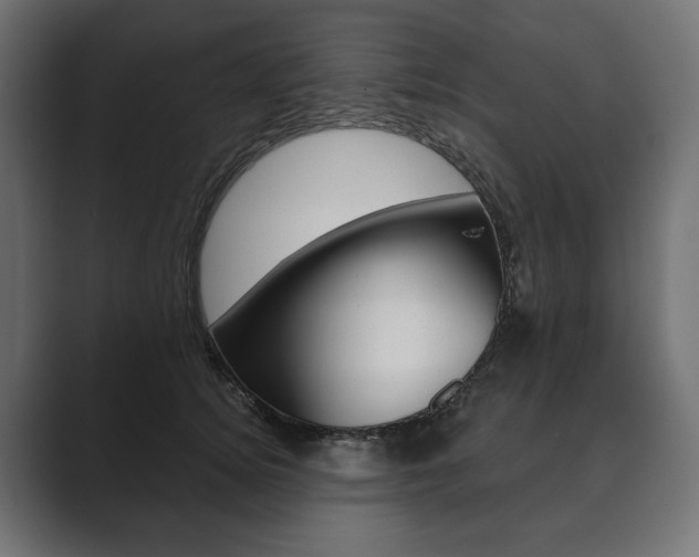 X0000089700756200706281454