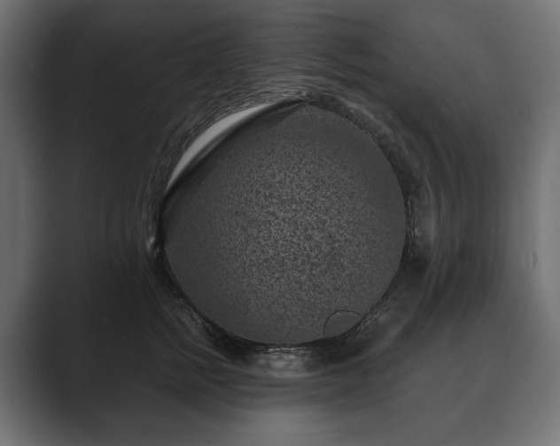 X0000089700758200706281454