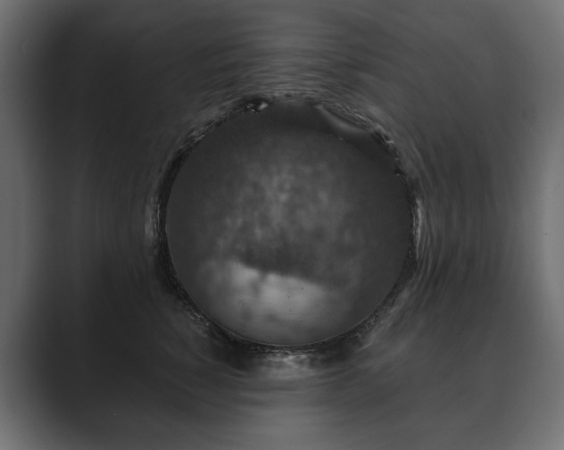 X0000089700760200706281454