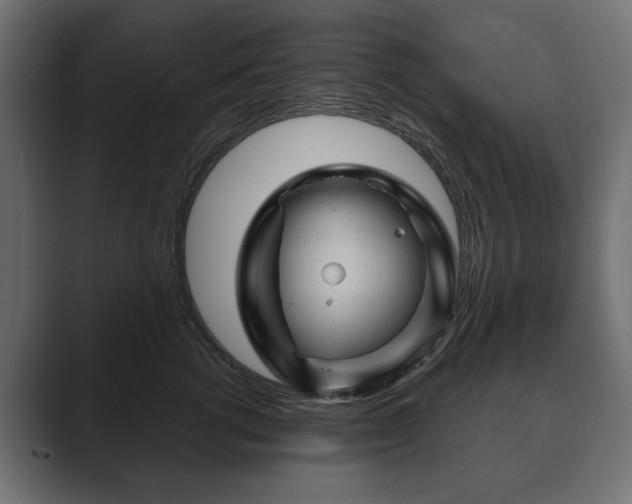 X0000089700762200706281454