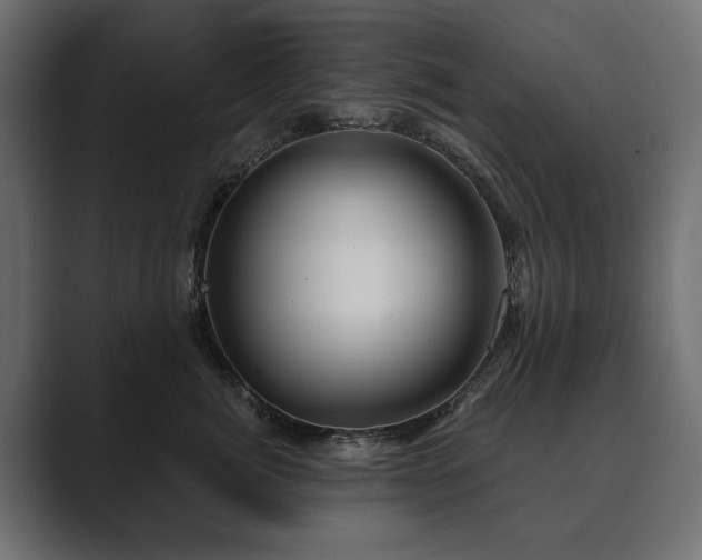 X0000089700764200706281454