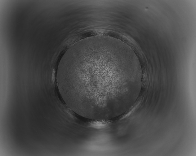 X0000089700765200706281454