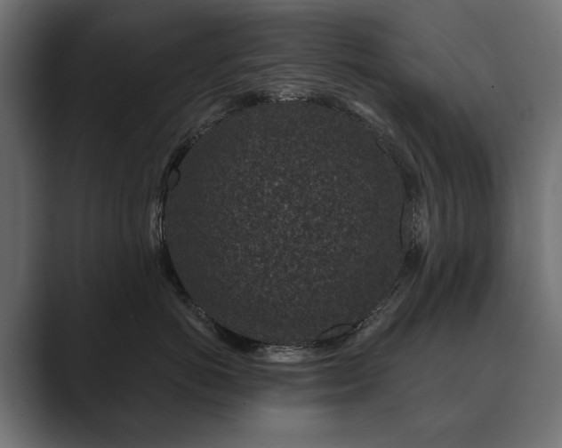 X0000089700766200706281454