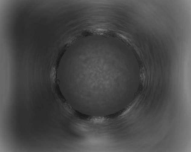 X0000089700767200706281454