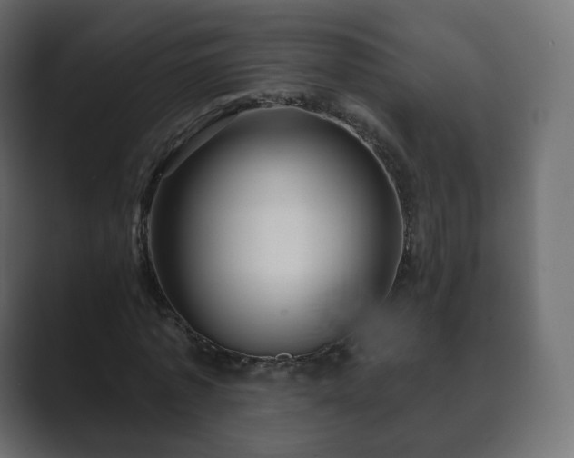 X0000089700773200706281454